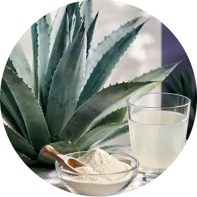 Inulina de agave